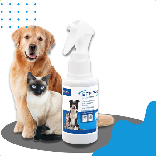 Antipulgas Carrapato Cães Gatos Effipro Spray 100ml + Brinde