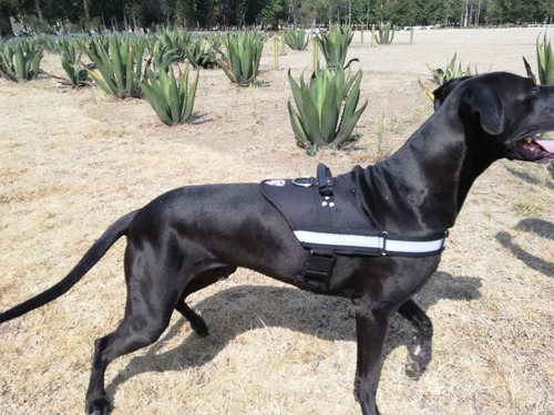 Pechera K9 Negra Mediana Envío Inmediato Oferta