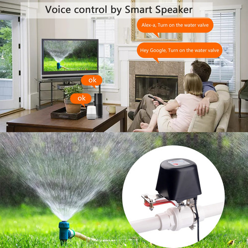 Imagen 6 de 9 de Válvula Ewelink Zigbee De 12 V Inteligente De La Válvula De