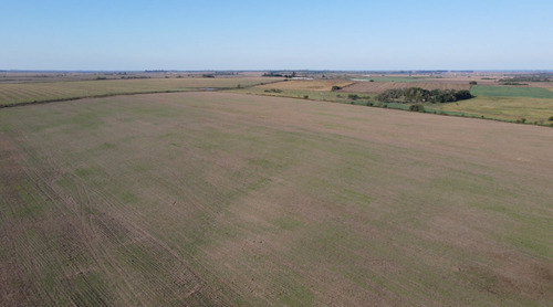 Campo Agricola De 21.5 Has En Corrales (antelo)