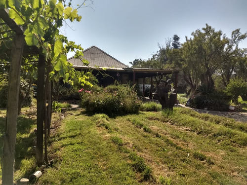 Casa Con Parcela En Condominio, Vista A Viña Concha Y Toro