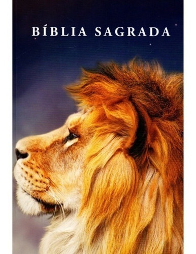 Bíblia Sagrada Jovem Leão Color Nvi Capa Dura 