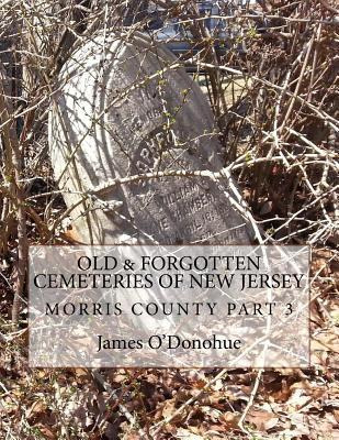Libro Old And Forgotten Cemeteries Of New Jersey : Morris...