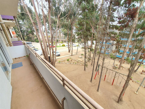 Hermoso Depto 2d+1b 50m2 Amoblado Con Estacionamiento.