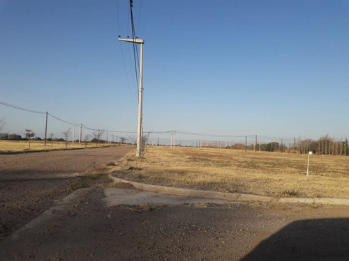 Imagen 2 de 6 de Venta Lote- A 100 Mtrs De La Rp A74...muy Buena Ubicación.