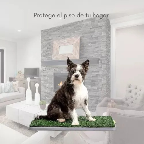 Baño Pet Potty Para Perros Reutilizable Sanitario Mascotas