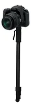 Comprar Monopie Profesional Ultimaxx 72 Foto Video 180cm Con Estuche Entrada Universal Compatibilidad Cualquier Cámara De Foto Video Paral 4 Secciones Con Seguros Agarre Espuma Antideslizante
