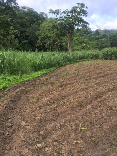 Imagen 2 de 7 de Finca En Venta En Guarico