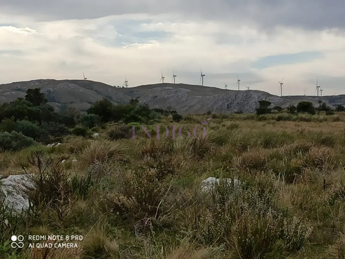 Chacra En Zona De Las Cañas, Buenas Vistas Con Tajamar Y Arroyos!