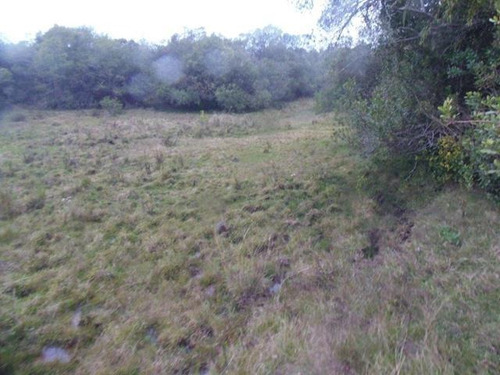Campo En Venta En Lavalleja, 121 Hectáreas