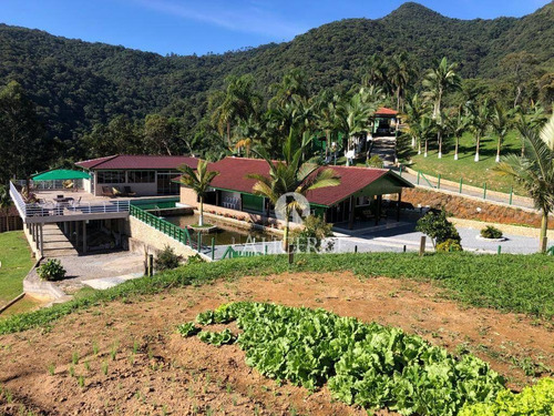 Imagem 10 de 30 de Linda Chácara Em Águas Mornas Com 3 Hectares - Ch0005
