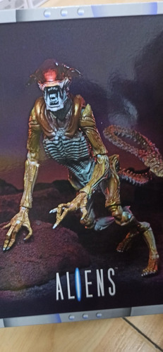 Alien Neca Aliens Phanter Alien