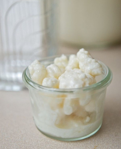 Imagen 2 de 8 de Hongos Y Gusanitos Para Yogurt Kefir