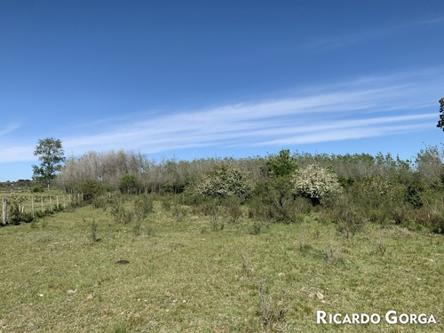 Venta Chacra Terreno Campo Canelones Villa Guadalupe Ruta 5