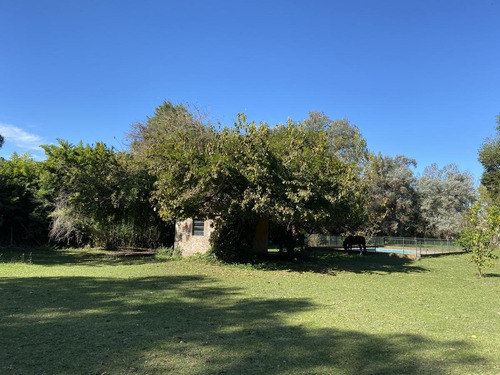 Chacra - Km. 61