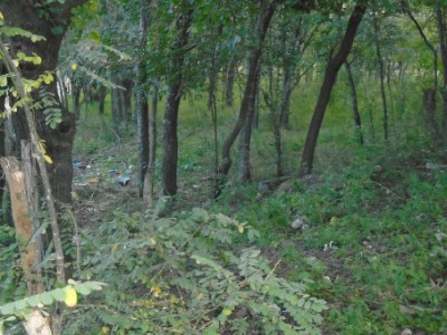 Terrenos O Lotes Venta Villa Cura Brochero