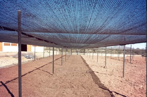 Imagen 2 de 8 de Malla Sombra Rollo 70% Raschel 4x15 Mts Invernaderos Jardín