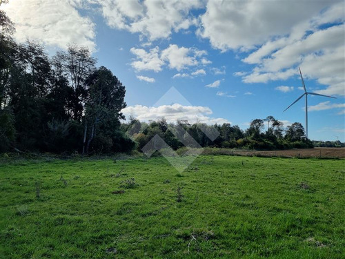 Sitio En Venta En Brisas De Loncotoro Llanquihue