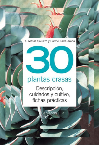 30 Plantas Crasas - Arana, Massa Saluzzo