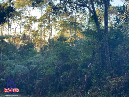 Imagem 19 de 23 de Chácara Com 35.000 M² Com 3 Casas/ Lago E Nascente À Venda Em Embu Guaçu/ São Lourenço Da Serra - Ch01031 - 34651874