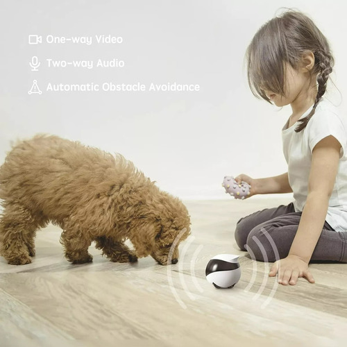Robo Ebo Se Camera Pet, Voz Visão Noturna Auto Carregamento