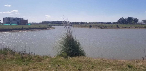 Imagen 11 de 15 de Venta Canning Lote A La Laguna 800m2 - Lacus Tiempos De Canning
