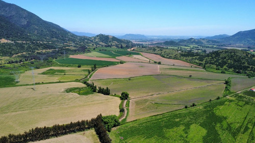 Codegua, Chimbarongo, Predio De 54,49 Has Ideal Par Cerezas
