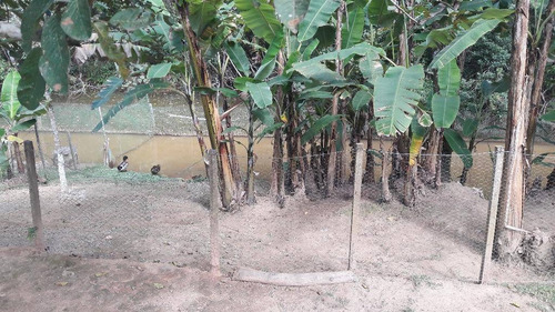 Imagem 13 de 30 de Chácara Residencial À Venda, Canjicas, Arujá - Ch0054. - Ch0058