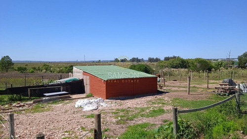 Espectacular Chacra Comercial En Maldonado - Ref: 63983