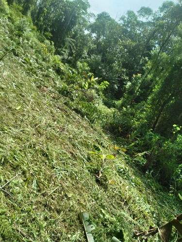 Imagem 9 de 14 de Terreno Em Miracatu C/ 30 Mil M