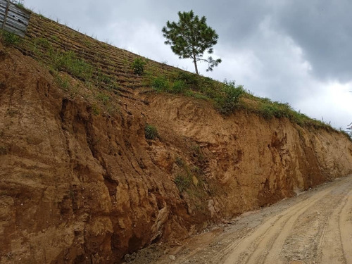 Imagen 5 de 20 de Terreno En Venta Plano 4000m2 En Potrerito San Antonio De Los Altos