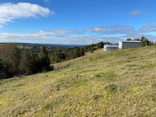 Campo El Mañío 6,8hectáreas Región De Los Lagos