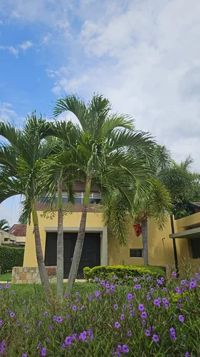 Casa De Un Piso En Vivenza Anapoima