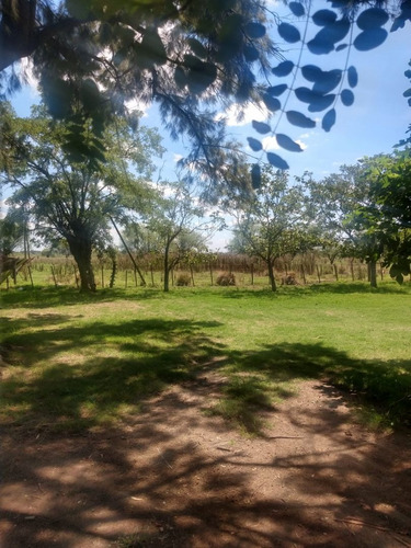 Imagen 7 de 10 de Campo En Venta En San Vicente