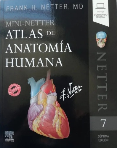 Mininetter- Atlas De Anatomia 7 Ed