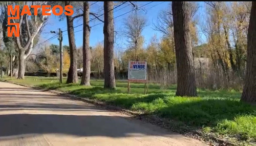 Venta Lote Sobre El Monte De Santa Teresita Ideal Para Emprendimiento Calle Entre Rios Y General Paz