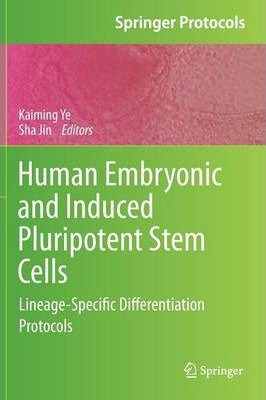 Libro Human Embryonic And Induced Pluripotent Stem Cells ...