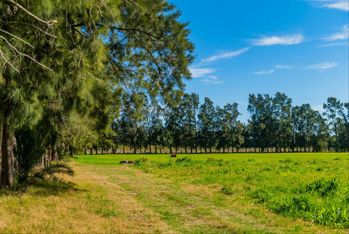 Venta Chacra 28 Ha Abayuba Arroyo Y 2 Tajamares C.rigel