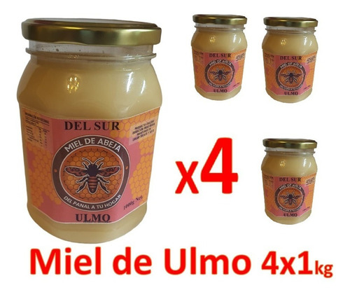 Pack 4 Miel De Ulmo De Abeja Del Sur 1kg C/u (total 4kg)
