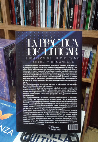 La Práctica De Litigar - Judkevich, Gotusso, Martínez