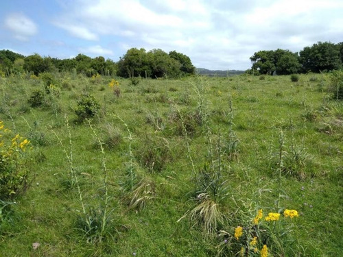 Campo En Venta