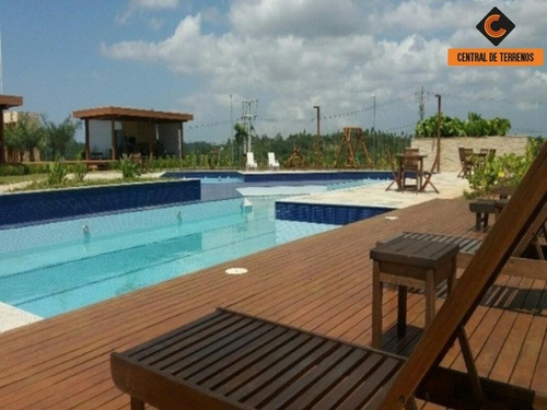 Terreno - Te00402 - 69013933