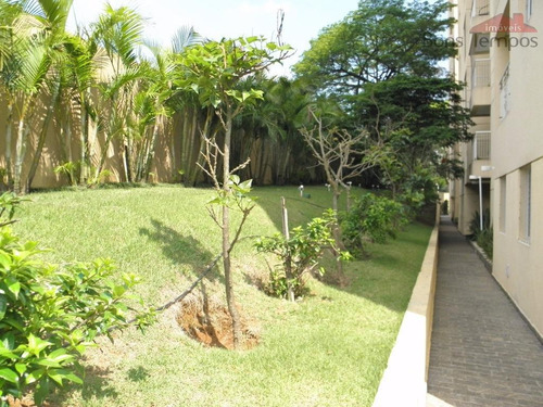 Apartamento Com 3 Dormitórios À Venda, 60 M² Por R$ 342.000 - Vila Carmem - São Paulo/sp - Ap3177