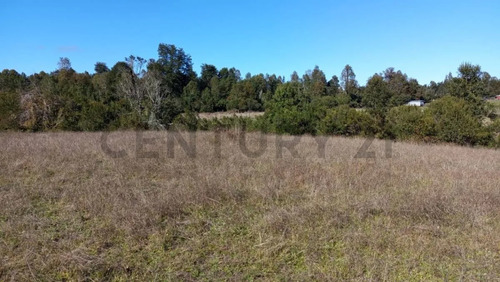 Parcela 5.000m2 | Sector Puquereo | Eje Freire-villarrica