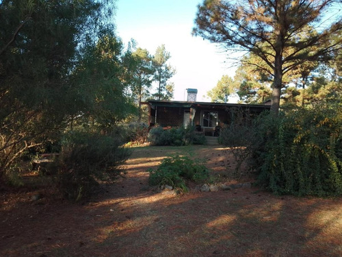 Complejo De Cabañas En Villa Yacanto Oportunidad De Inversión En El Corazón De Las Sierras