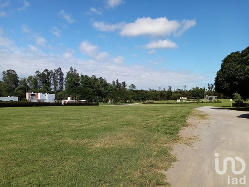 Venta Terreno 0 Ambiente Paso Del Toro