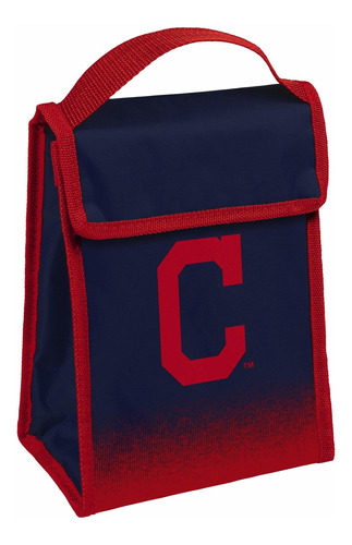 Bolsa Almuerzo Gradiente Unisex Mlb