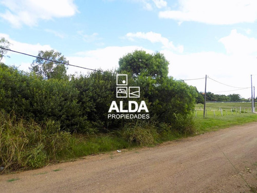 Imagen 6 de 14 de Terreno Playa Hermosa Piriápolis Venta Te101076