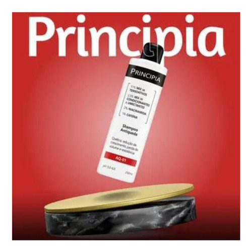 Shampoo Antiqueda E Antiquebra Aq-01 Principia 250ml