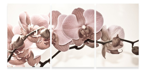 Imagem 2 de 9 de Quadro Flores Orquídeas Bege Para Sala Recepção Canvas